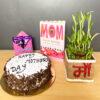 mother's day gift combo of greeting card, black forest cake, dairy milk chocolates and 2 layer lucky bamboo with glass vase